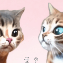 ⚫猫ミーム【動く】【おもろい】24匹セット