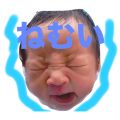 maine_20240302105421