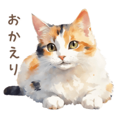 Calico cat can be used in everyday life
