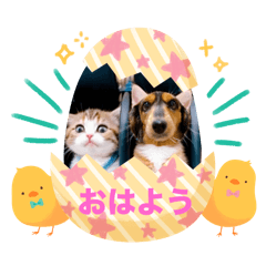 tomomi_20240301233248