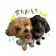 そらとかいスタンプ