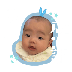 Peipei豬