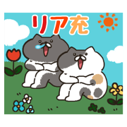 momo_20240302194312