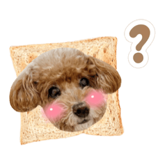 MACHI & DOBY – LINE stickers | LINE STORE