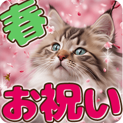 卒入学・入園・就職【春のお祝い】猫と桜♡