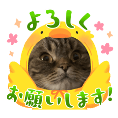 yuka_20240302201332