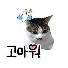 nao_20240303080056