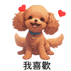 red poodle dog