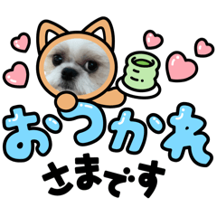 yamazaki_20240303125801