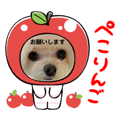 Chie tomiyasu_20240303104715