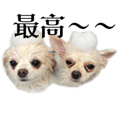 ebi_ebi_20240303105109
