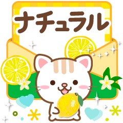 Natural cat, Popup Natural refreshing jp