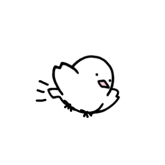 cute and small Java sparrow