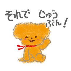 A toy poodle that relieves fatigue-2