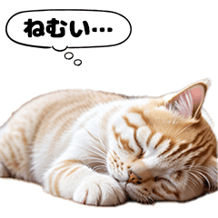 Neko Meme sleeping cat Lovely Sticker