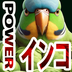 power parakeet