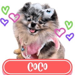 WOOFME WITH COCO COCOLAND