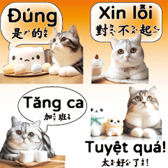 小貓越南中文vietnam âm hộ việt nam2