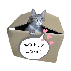 嘎力、齁啾的日常