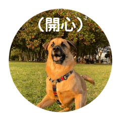 睏寶睡不飽