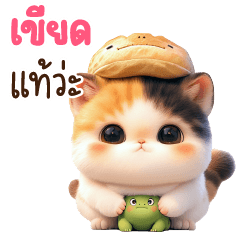 E-San Chat Bun Bun Cat So Cute