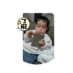 coco_20240303223517