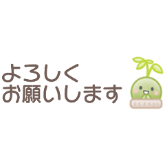 Daily use*small sticker of moss ball