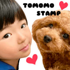 TOMOMO STAMP 2024
