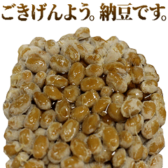 Honorific Natto is fermented soybeans
