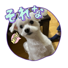 Syo_20240303165416