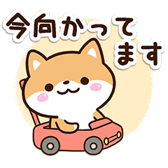 Sticker of Cute Shiba50