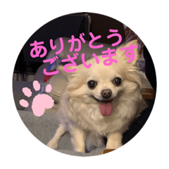 konatsu_20240303172132