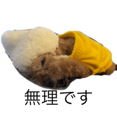 Sakura_20240303194522