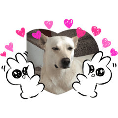 屁孩多