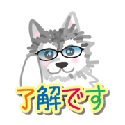 gin_20240303212250