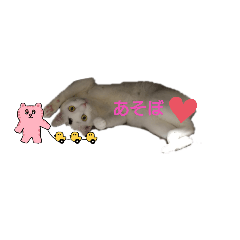 nao_20240303212209