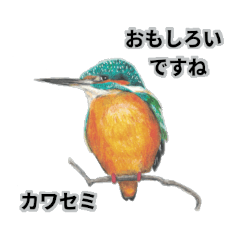 Stiker sopan santun burung liar Jepang R