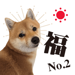 Fuku Daily Life Photo Sticker No2