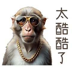 台灣猴猴好酷酷