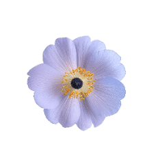 Flower(small)