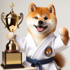 Shiba Inu which loves judo
