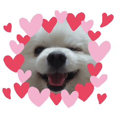 Chopper shop – LINE stickers | LINE STORE