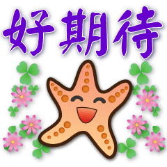 可愛海星--實用問候