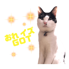 夏目くん。　その2