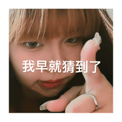 我的大餅臉們