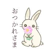 yuni_20240304183202