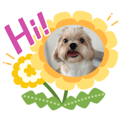 Sayuri_20240304204734