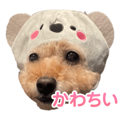 Sakura_20240304212040