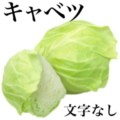 I love cabbage 5