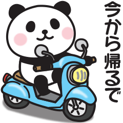 Kansai dialect panda contact 4